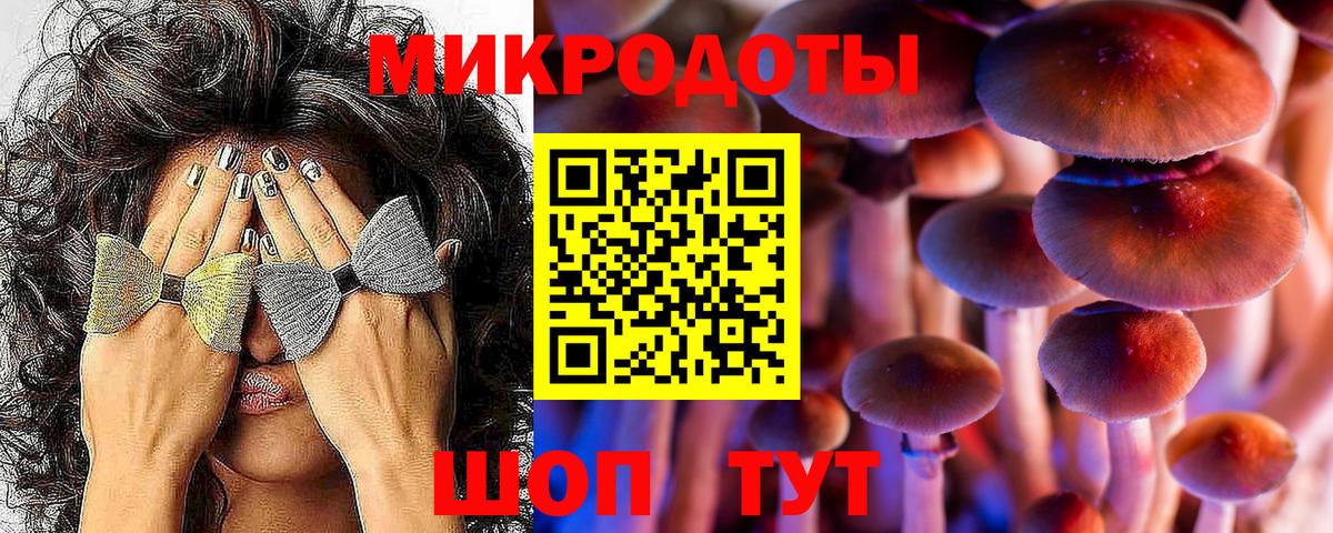Ессентуки  Галлюциногенные грибы мицелий  Вход с VPN 