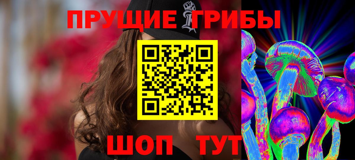 Галлюциногенные грибы Psilocybine cubensis Ессентуки