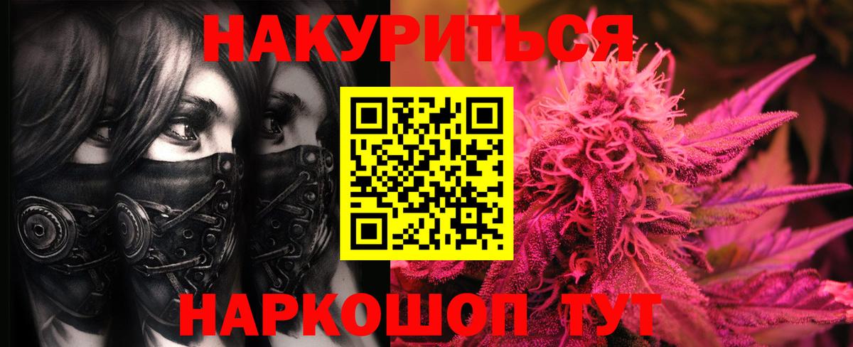 Бошки марихуана сатива Ессентуки
